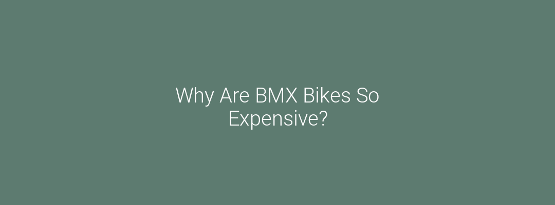 Why Are BMX Bikes So Expensive? Feature Image